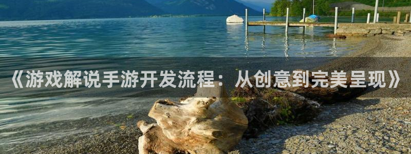 V8娱乐平台：《游戏解说手游开发流程：从创意到完美呈现》