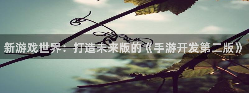 V8娱乐官网：新游戏世界：打造未来版的《手游开发第二版》