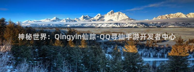 V8娱乐注册：神秘世界：Qingyin仙踪-QQ寻仙手游开发