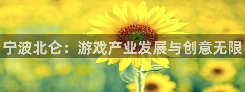 V8娱乐登录：宁波北仑：游戏产业发展与创意无限
