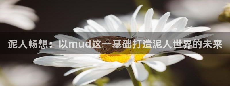 V8娱乐登录：泥人畅想：以mud这一基础打造泥人世界的未来