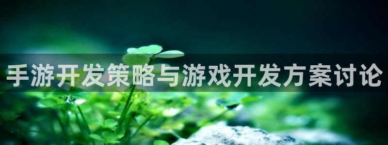 V8娱乐官网：手游开发策略与游戏开发方案讨论