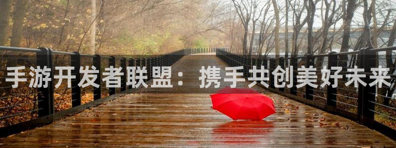 V8娱乐平台：手游开发者联盟：携手共创美好未来
