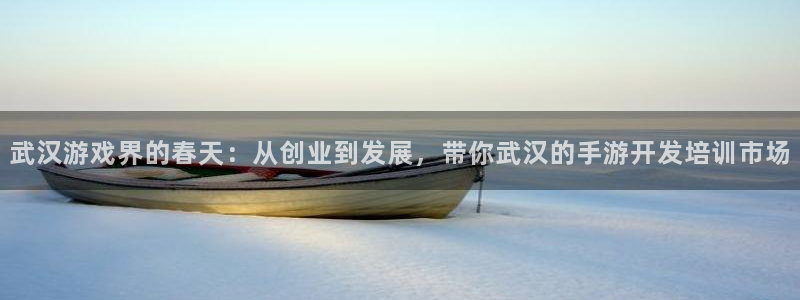V8娱乐登录：武汉游戏界的春天：从创业到发展，带你武汉的手游
