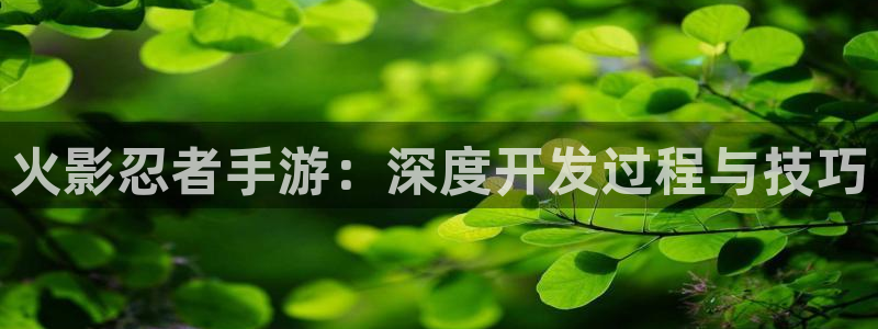 V8娱乐注册：火影忍者手游：深度开发过程与技巧