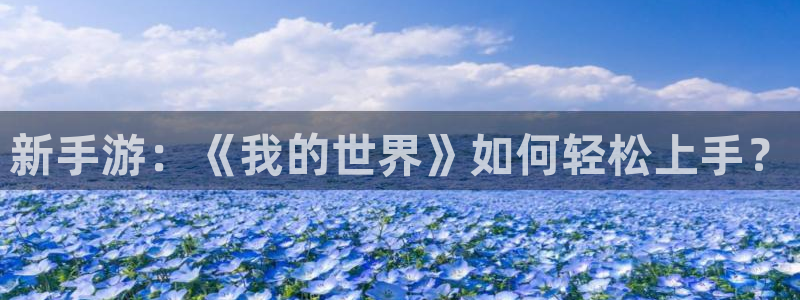 V8娱乐官网：新手游：《我的世界》如何轻松上手？