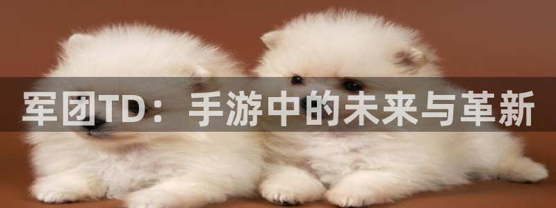 V8娱乐官网：军团TD：手游中的未来与革新