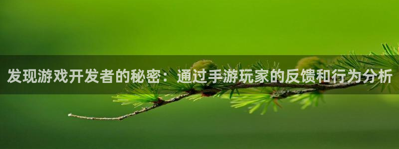 V8娱乐网：发现游戏开发者的秘密：通过手游玩家的反馈和行为分