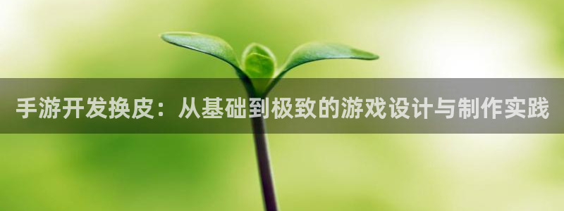 V8娱乐官网：手游开发换皮：从基础到极致的游戏设计与制作实践