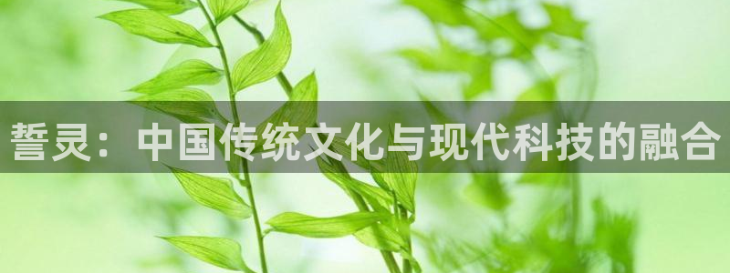 V8娱乐登录：誓灵：中国传统文化与现代科技的融合