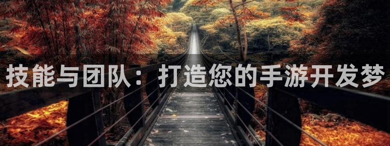 V8娱乐注册：技能与团队：打造您的手游开发梦