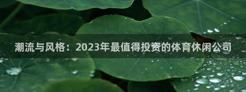 谈球吧：潮流与风格：2023年最值得投资的体育休闲公司