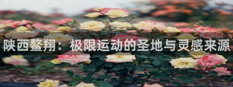 谈球吧体育官网