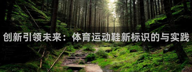 谈球吧：创新引领未来：体育运动鞋新标识的与实践