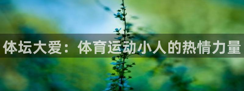 谈球吧体育